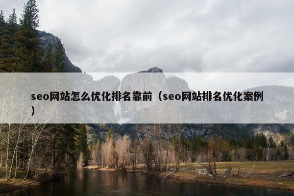 seo网站怎么优化排名靠前（seo网站排名优化案例）