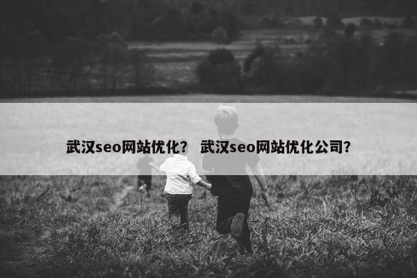 武汉seo网站优化？ 武汉seo网站优化公司？