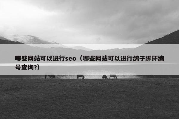 哪些网站可以进行seo（哪些网站可以进行鸽子脚环编号查询?）