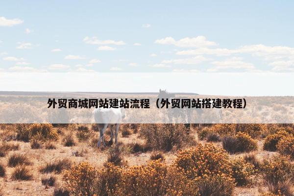 外贸商城网站建站流程（外贸网站搭建教程）
