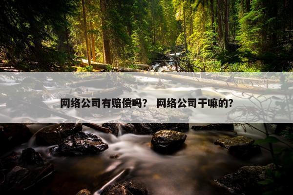 网络公司有赔偿吗？ 网络公司干嘛的？