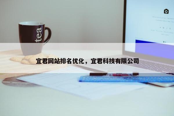 宜君网站排名优化，宜君科技有限公司