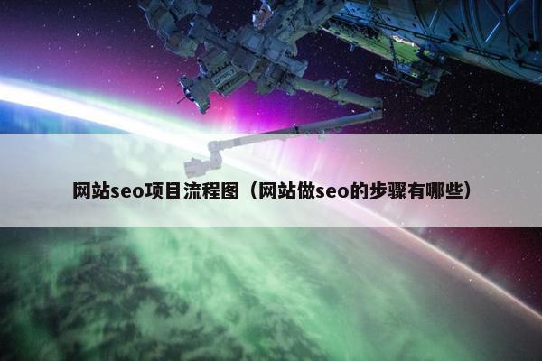 网站seo项目流程图（网站做seo的步骤有哪些）