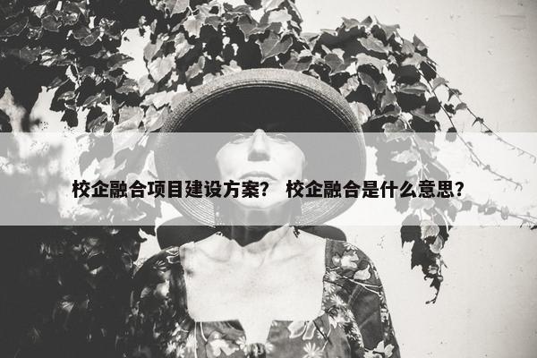 校企融合项目建设方案？ 校企融合是什么意思？