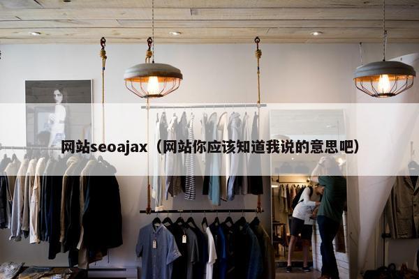 网站seoajax（网站你应该知道我说的意思吧）