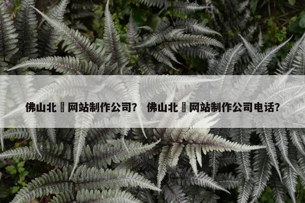 佛山北滘网站制作公司？ 佛山北滘网站制作公司电话？