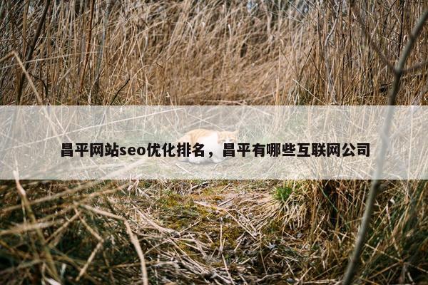 昌平网站seo优化排名，昌平有哪些互联网公司
