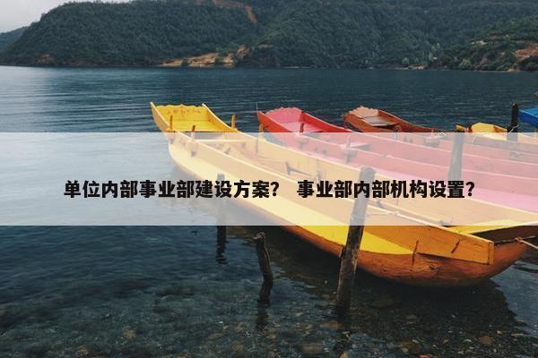单位内部事业部建设方案？ 事业部内部机构设置？