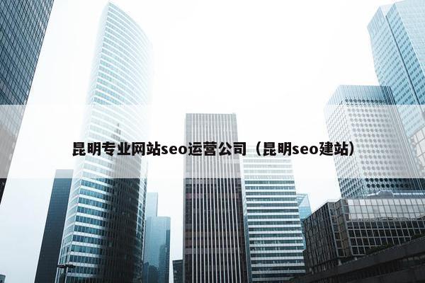 昆明专业网站seo运营公司（昆明seo建站）