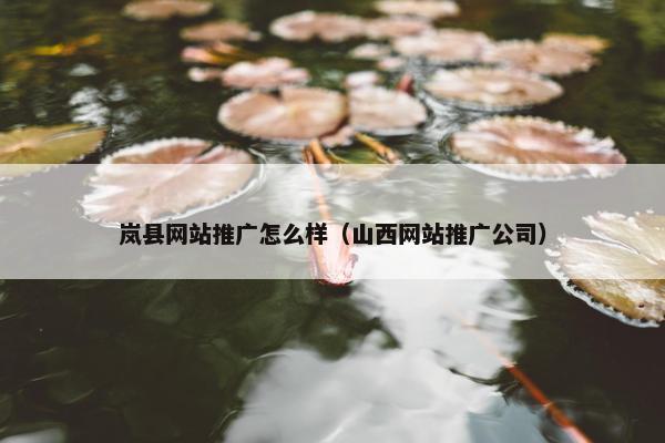 岚县网站推广怎么样（山西网站推广公司）