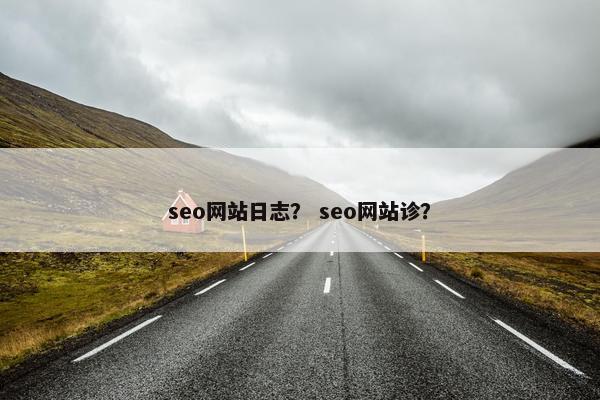seo网站日志？ seo网站诊？