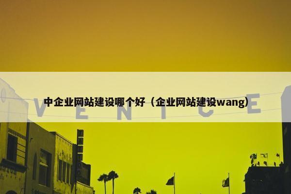 中企业网站建设哪个好（企业网站建设wang）