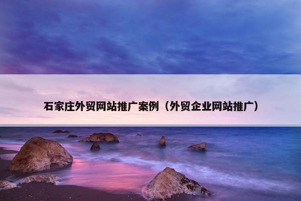 石家庄外贸网站推广案例（外贸企业网站推广）