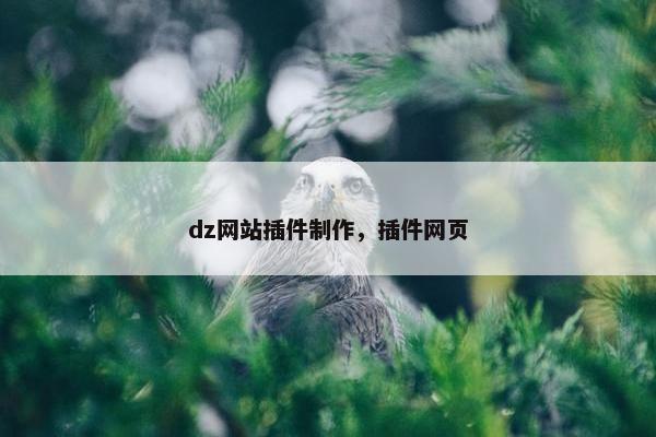 dz网站插件制作，插件网页