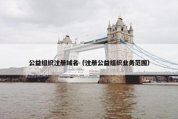公益组织注册域名（注册公益组织业务范围）