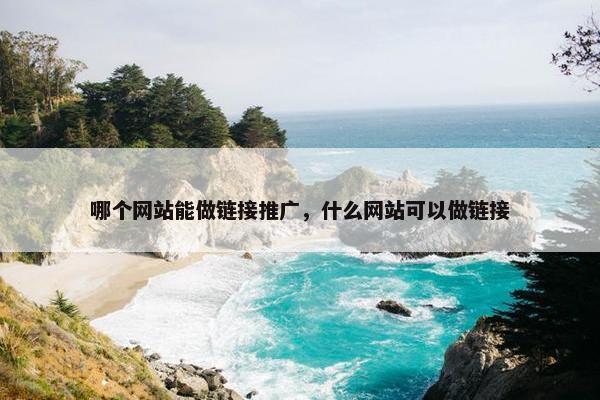 哪个网站能做链接推广，什么网站可以做链接