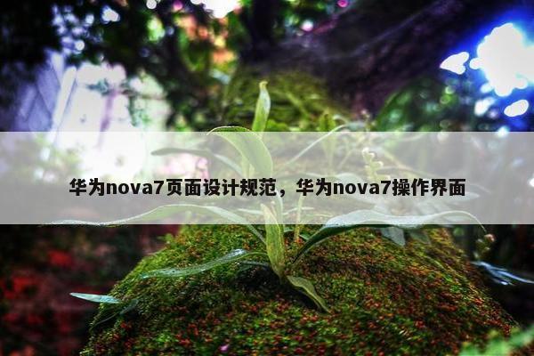 华为nova7页面设计规范，华为nova7操作界面