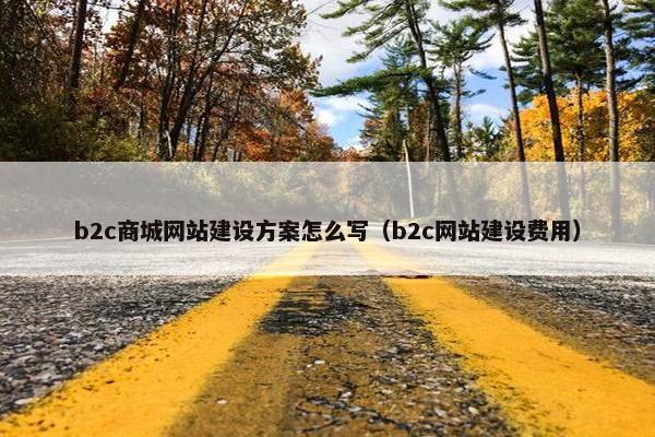 b2c商城网站建设方案怎么写（b2c网站建设费用）