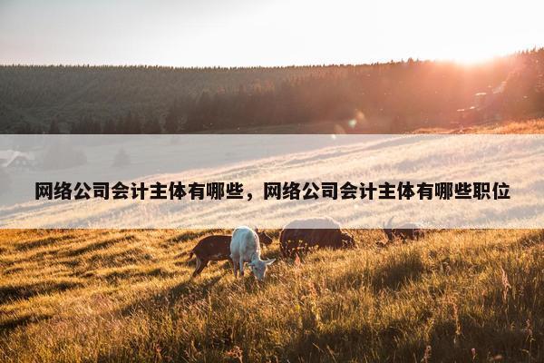 网络公司会计主体有哪些，网络公司会计主体有哪些职位