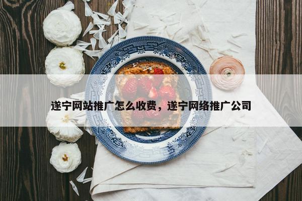 遂宁网站推广怎么收费，遂宁网络推广公司