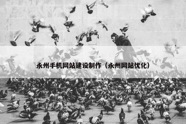永州手机网站建设制作（永州网站优化）