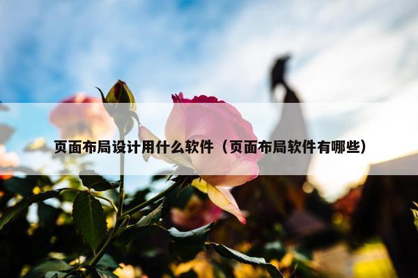页面布局设计用什么软件（页面布局软件有哪些）