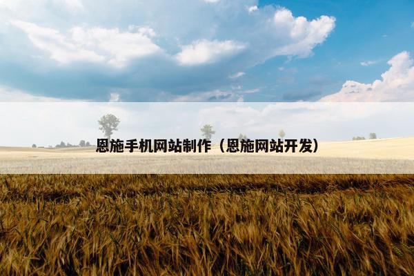 恩施手机网站制作（恩施网站开发）