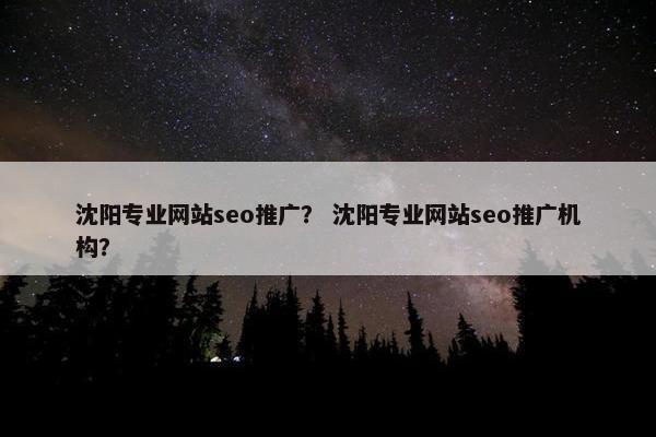 沈阳专业网站seo推广？ 沈阳专业网站seo推广机构？