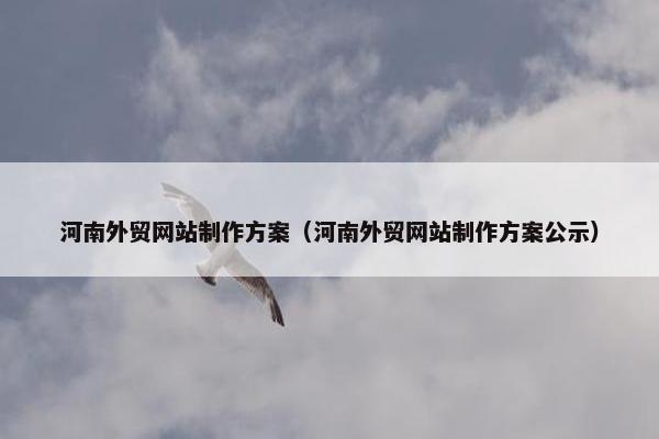 河南外贸网站制作方案（河南外贸网站制作方案公示）