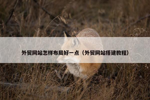 外贸网站怎样布局好一点（外贸网站搭建教程）