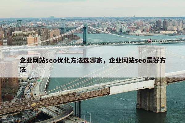 企业网站seo优化方法选哪家，企业网站seo最好方法