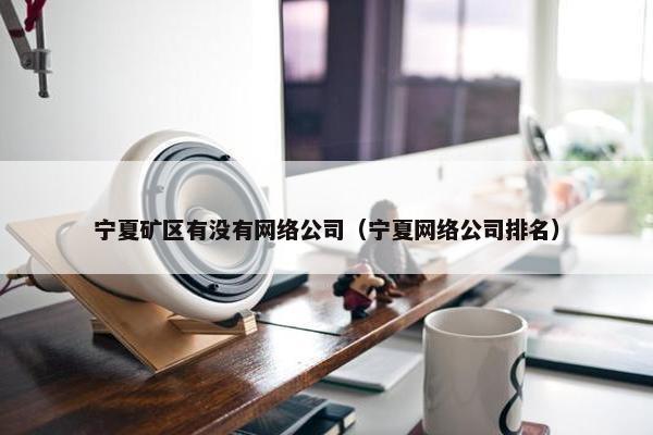 宁夏矿区有没有网络公司（宁夏网络公司排名）