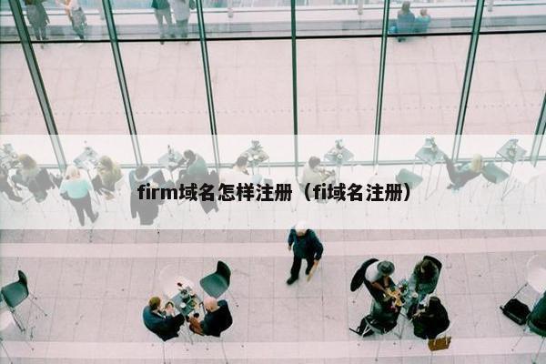 firm域名怎样注册（fi域名注册）