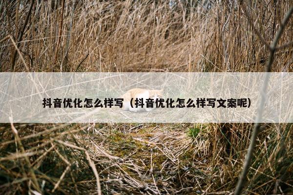 抖音优化怎么样写（抖音优化怎么样写文案呢）