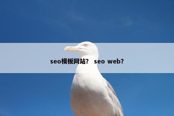 seo模板网站？ seo web？