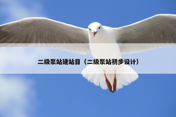二级泵站建站目（二级泵站初步设计）