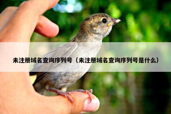 未注册域名查询序列号（未注册域名查询序列号是什么）