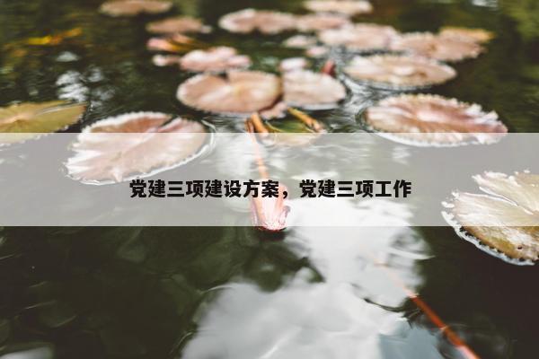 党建三项建设方案，党建三项工作