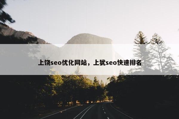 上饶seo优化网站，上犹seo快速排名