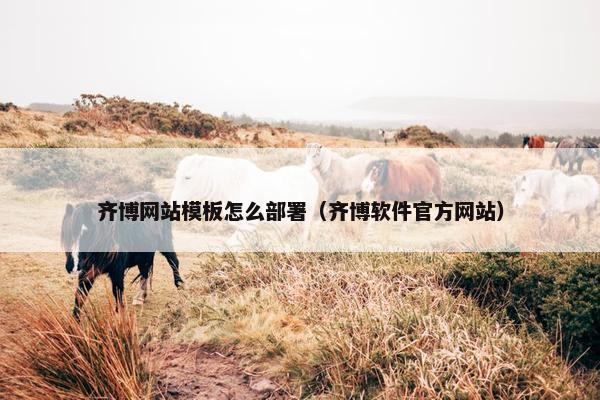 齐博网站模板怎么部署（齐博软件官方网站）