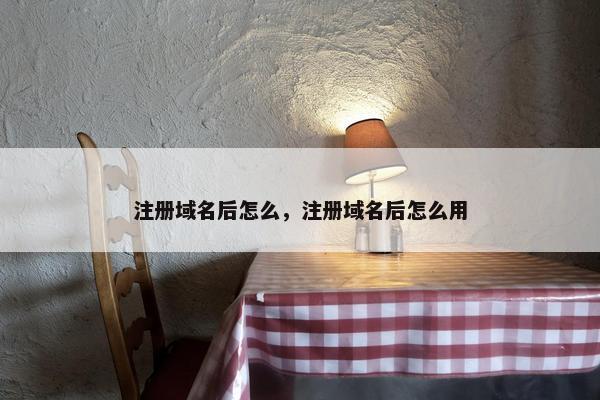 注册域名后怎么，注册域名后怎么用