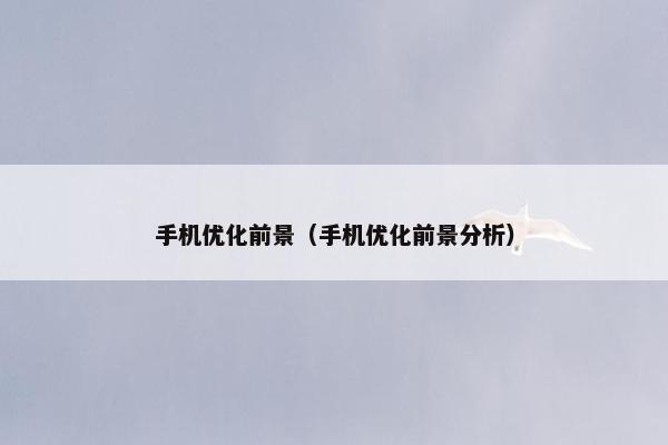 手机优化前景（手机优化前景分析）