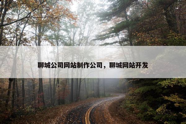 聊城公司网站制作公司，聊城网站开发
