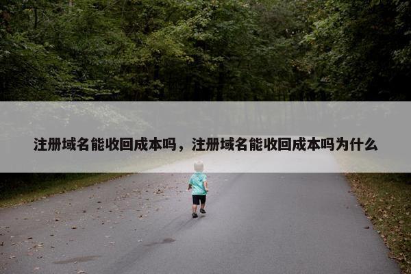 注册域名能收回成本吗，注册域名能收回成本吗为什么