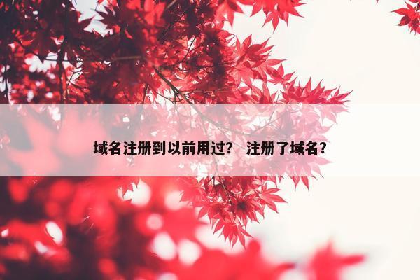 域名注册到以前用过？ 注册了域名？