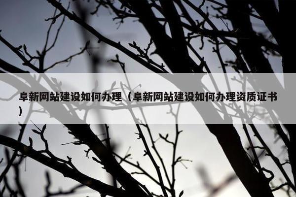 阜新网站建设如何办理（阜新网站建设如何办理资质证书）