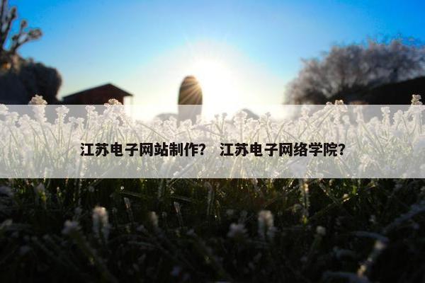 江苏电子网站制作？ 江苏电子网络学院？