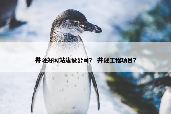井陉好网站建设公司？ 井陉工程项目？