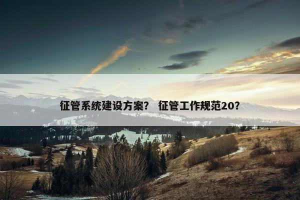 征管系统建设方案？ 征管工作规范20？