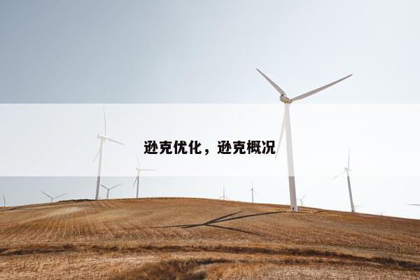 逊克优化，逊克概况